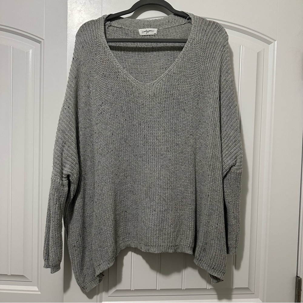 Carly Jean Los Angeles Heather Gray V-Neck Sweater